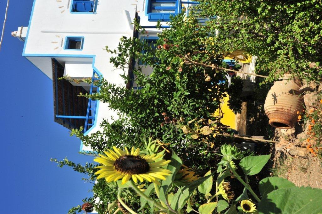 Appartement Titika Katápola